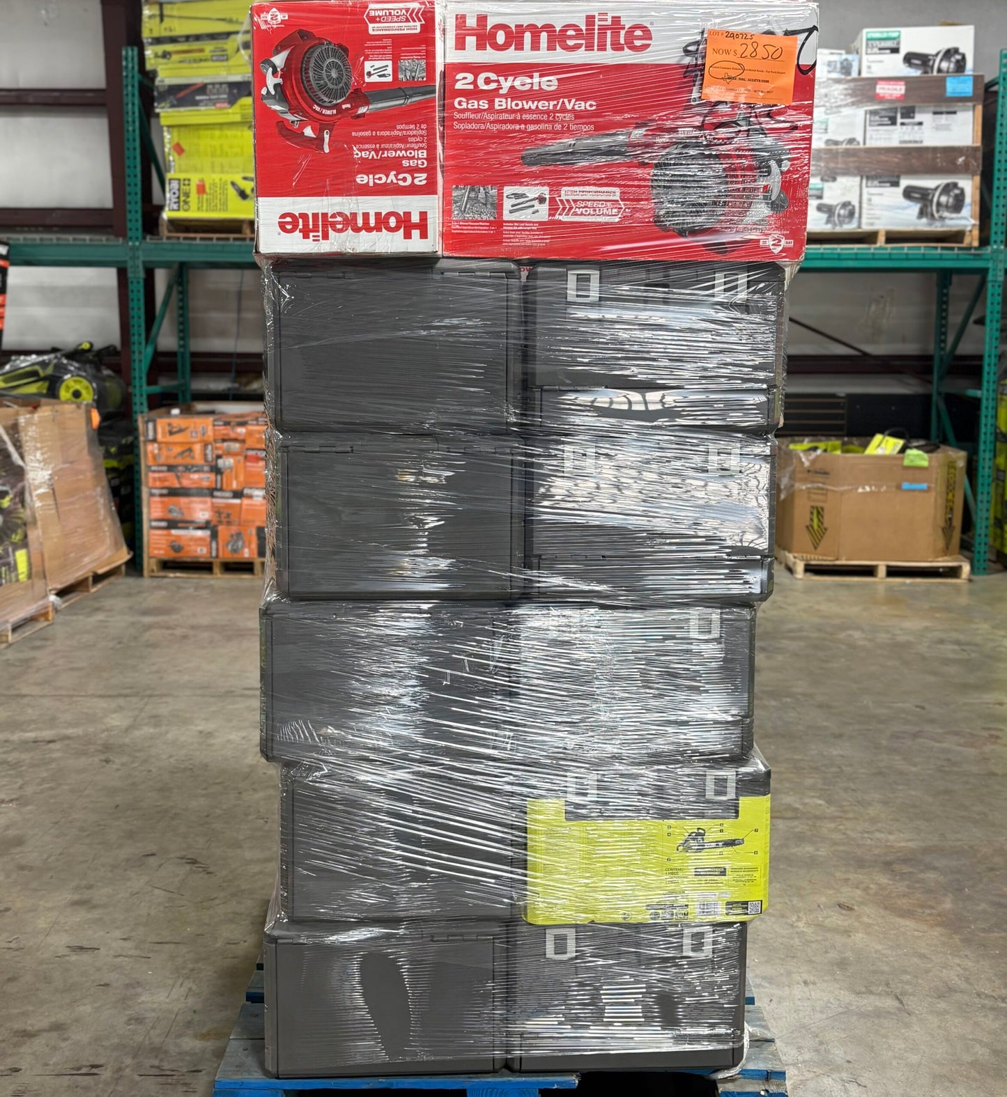 Gas Chainsaw and Blower Pallet image 3