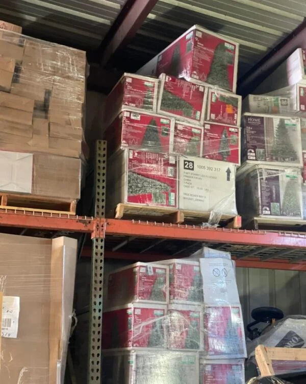 Christmas pine trees load image 0